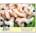 RED SHRIMPS solenocera melantho